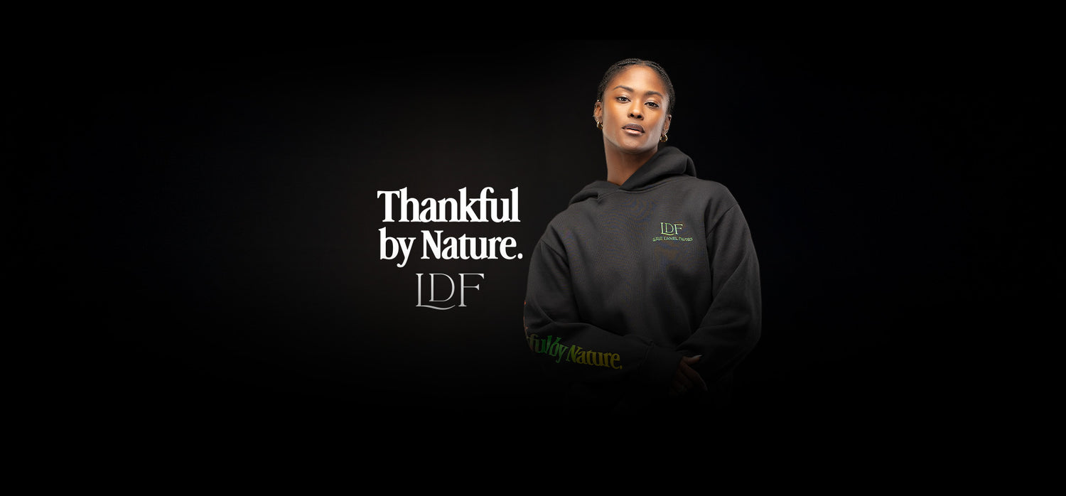 Lurie Daniel Favors Collection